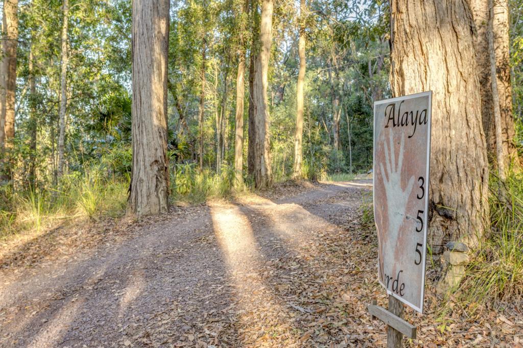 Ringtail Creek アラヤ ヴェルデ Bed & Breakfast エクステリア 写真