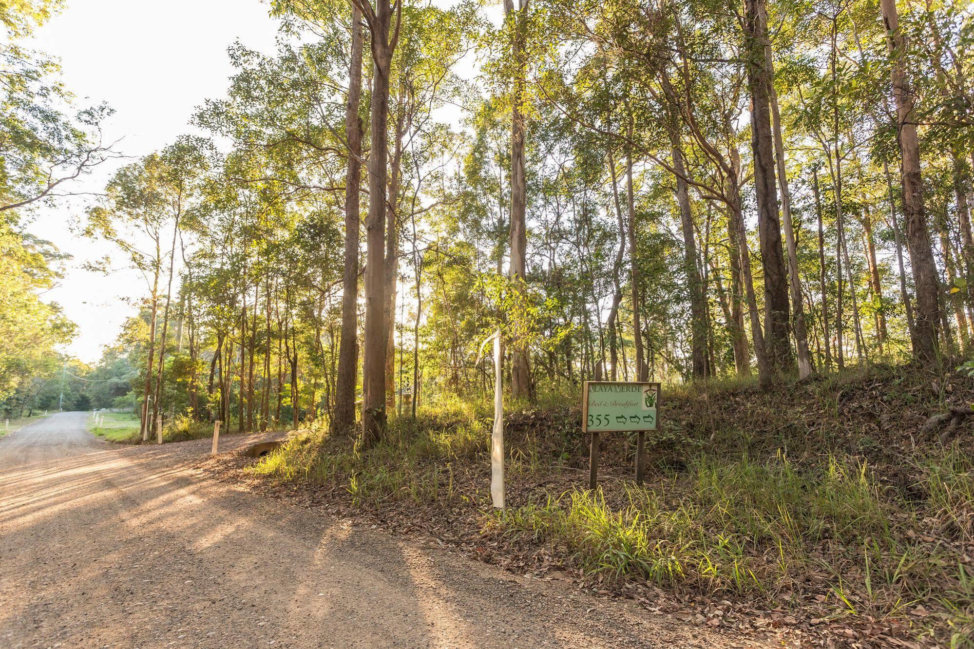 Ringtail Creek アラヤ ヴェルデ Bed & Breakfast エクステリア 写真