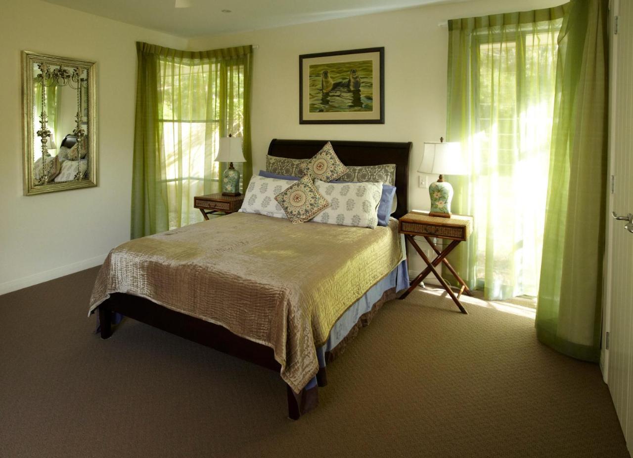 Ringtail Creek アラヤ ヴェルデ Bed & Breakfast エクステリア 写真